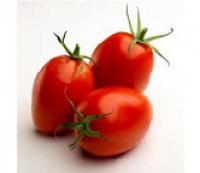 Tomato,Roma  羅馬茄