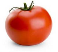 Tomato 蕃茄