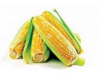 Sweet Corn,With Skin 粟米,連衣