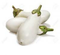 Eggplant,White  白茄瓜