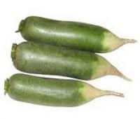 Turnip,Green  青蘿蔔