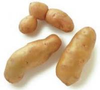Potato,Fingerling 手指薯
