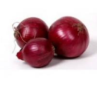 Onion,Red  紅洋蔥