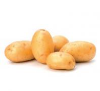 Potato,New 新薯
