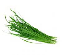 Chives,Chinese 韭菜