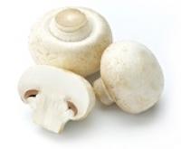 Mushroom,White Button,Premium 優質白菌