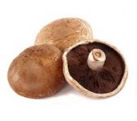 Mushroom,Portabello  大啡菇