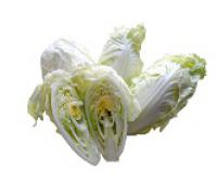 Cabbage,Chinese,Mini 銀絲旺菜