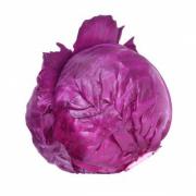 Red Cabbage 紅椰菜