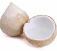 Coconut,King 椰皇
