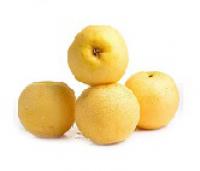 Pear,Golden  黃金梨