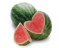 Watermelon(Mini) 西瓜(迷你)