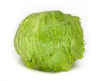 Lettuce,Iceberg 西生菜