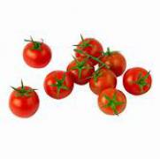 Cherry Tomato 車厘茄
