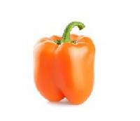 Bell Pepper,Orange  橙圓椒