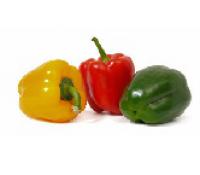 Bell Pepper,Trio-colour 三色雜椒