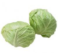 Cabbage,White 椰菜