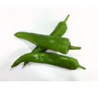 Chili,Green  青尖椒