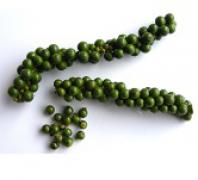 Green Pepper Corn 青胡椒粒