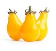 Tomato,Yellow Pear  黃梨茄