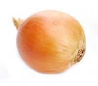 Onion 洋蔥