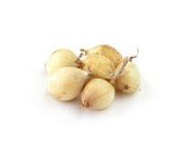 Pearl Onion 珍珠蔥