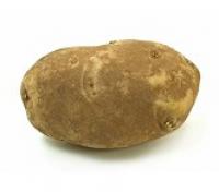 Potato Russet-USA 焗薯-美國