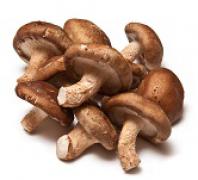 Mushroom,Shiitake,Fresh,Premium 優質鮮冬菇