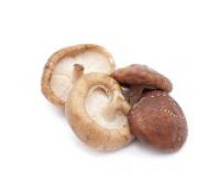 Mushroom,Shiitake,Fresh 鮮冬菇