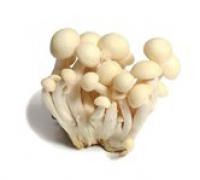 Mushroom,White Beech  白玉菇