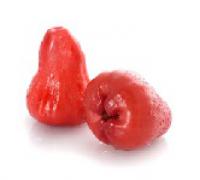 Bell Fruit,Red 紅天桃