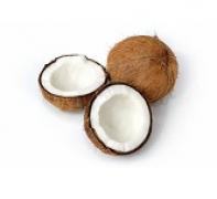 Coconut 椰子
