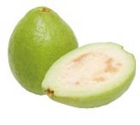 Guava 番石榴