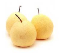 Pear,Chinese Royal  貢梨