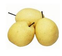 Pear,TIANJIN 天津梨