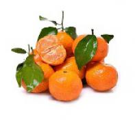 Tangerine,Sugar  沙糖桔