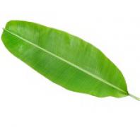 Banana Leaf 蕉葉