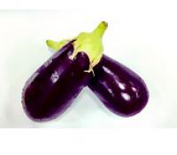 Eggplant 茄瓜